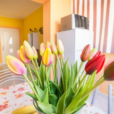 Beauty Apartament